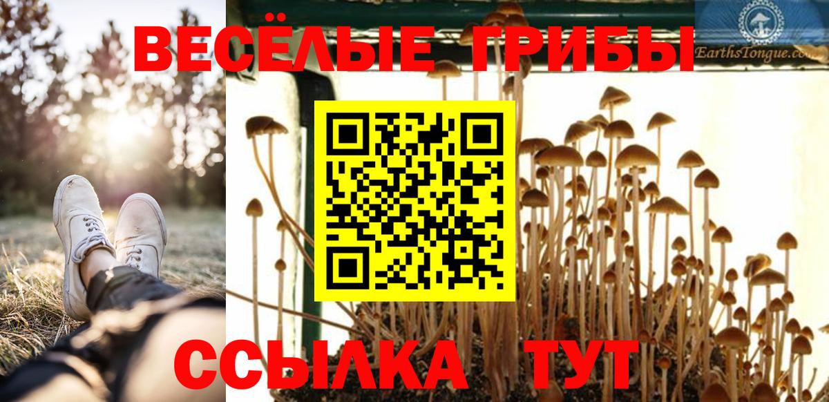 Псилоцибиновые грибы GOLDEN TEACHER  Псилоцибиновые грибы Psilocybe  Вход с VPN  купить наркотик  Воскресенск 